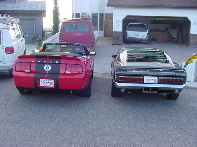 DSC09921.JPG