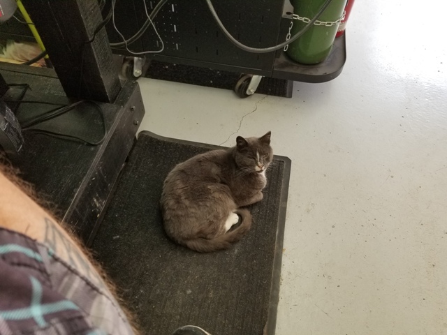 20180615_123754.jpg