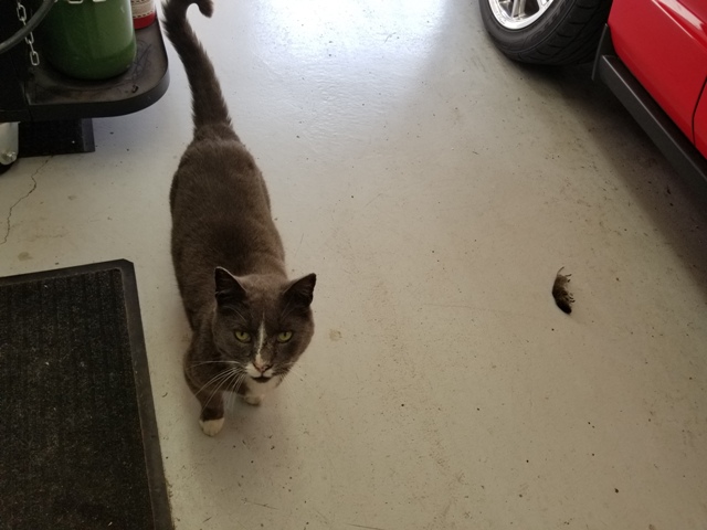 20180727_104727.jpg