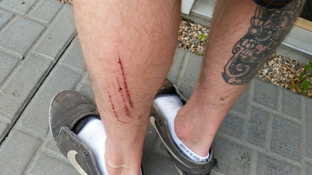 20160809_153921_1470778788419_resized.jpg