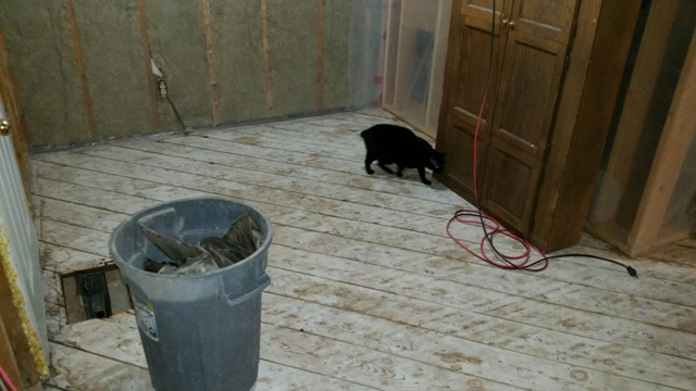 20161206_170037_1481069088805_resized.jpg