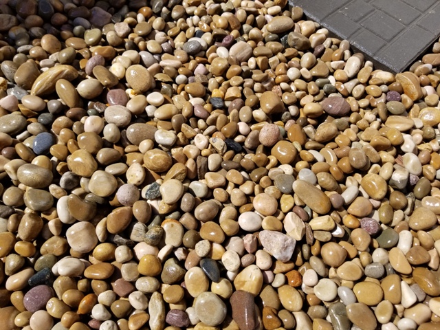 20170703_154634.jpg