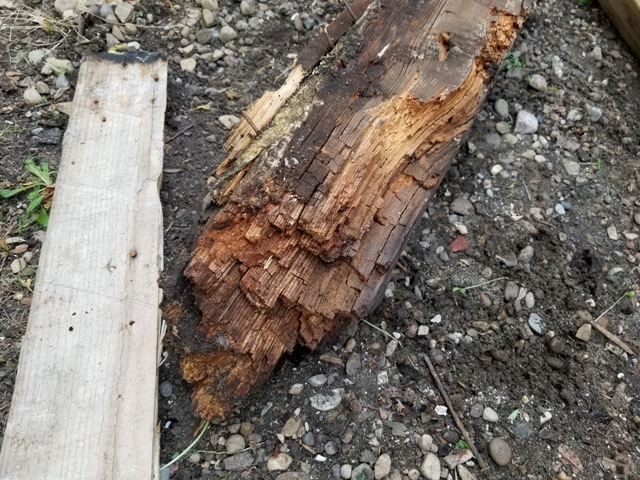 20180814_190432.jpg