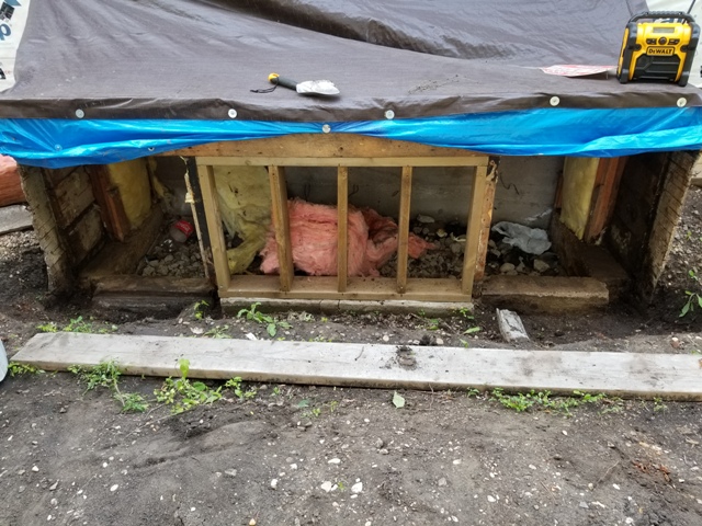 20180814_190624.jpg