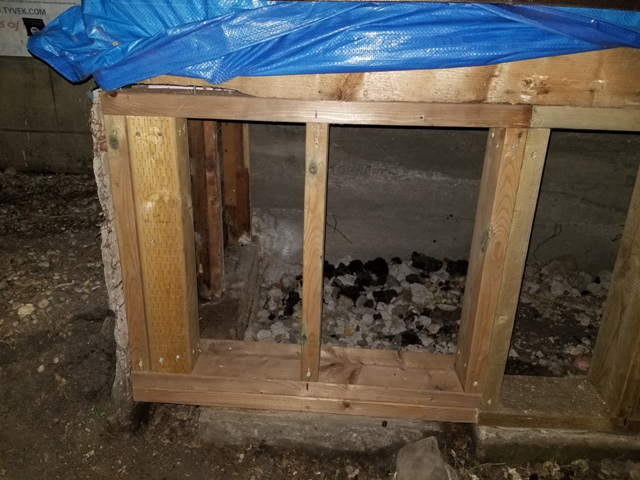 20180815_213416.jpg