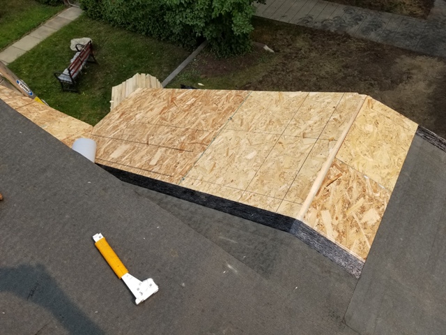 20180823_131748.jpg