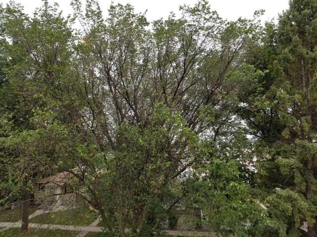20180823_182952.jpg