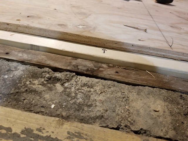 20180913_023920.jpg