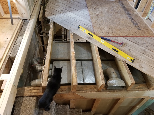 20180924_171015.jpg