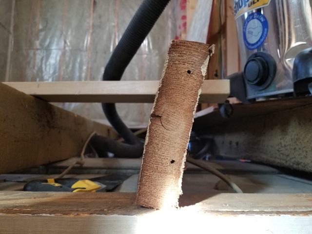 20180925_152348.jpg
