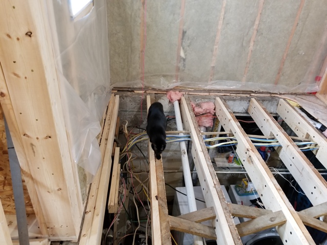20180930_142916.jpg