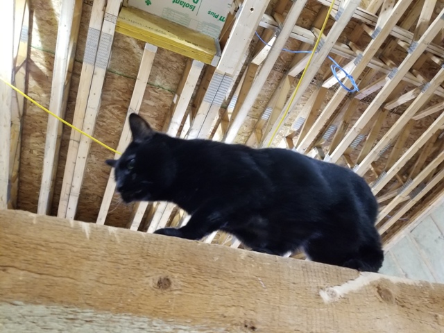 20181026_155111.jpg