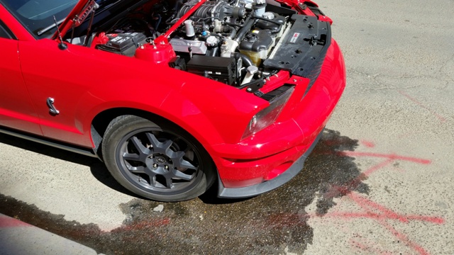 20160502_144906_resized.jpg