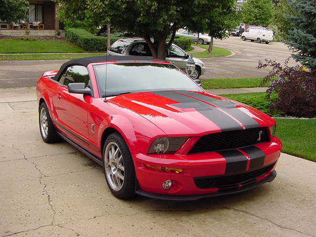 DSC00562.JPG