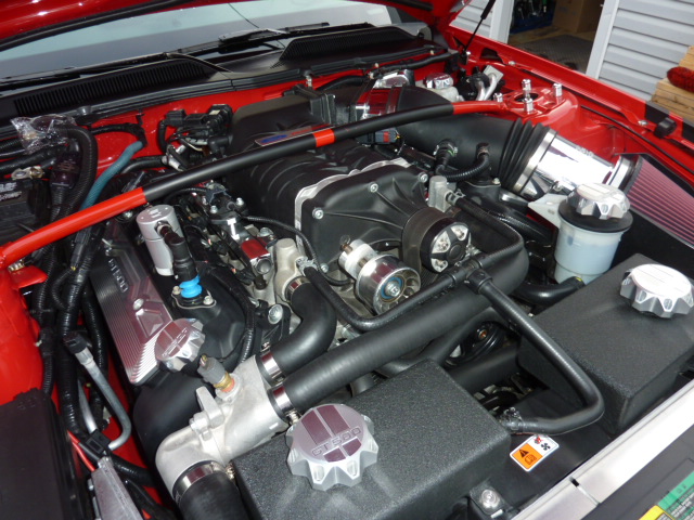P1040410.JPG