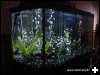 [fishtank]